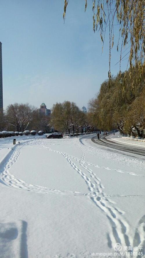 梦见大雪很厚在雪地走：梦见雪地里走意味着什么