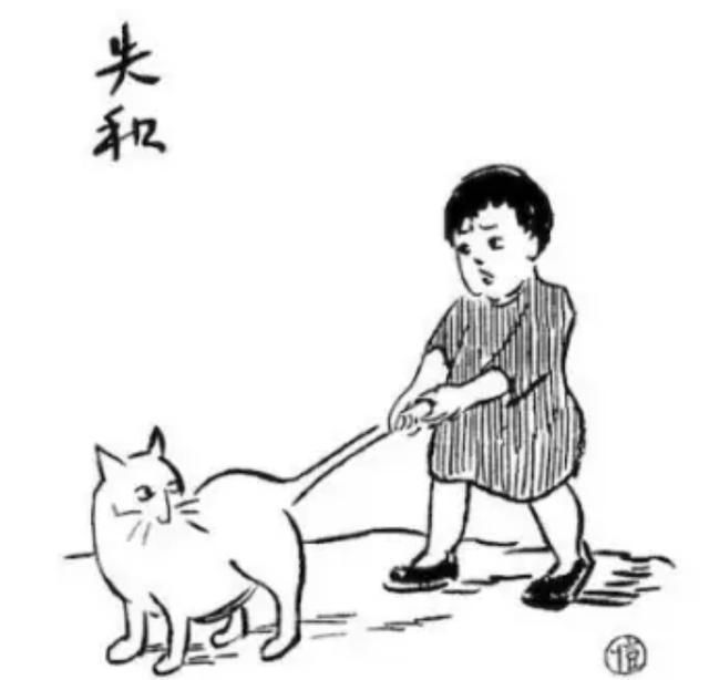 从今天起，做个养猫的人