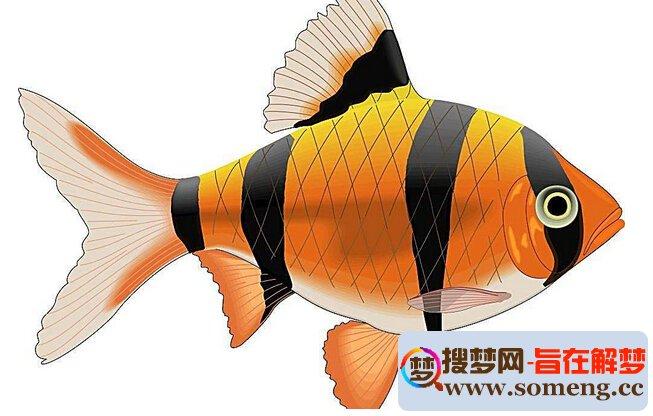 最全的解梦大全梦见鱼：周公解梦梦见好多鱼什么意思