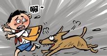 梦是什么？千奇百怪的梦境解读！