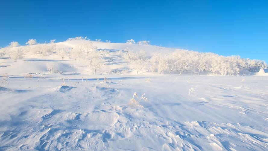 梦见大雪堆积如山：做梦梦见下雪下在了床上堆了厚厚的一层