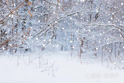 梦见地上有雪但没下雪：梦见地上有雪但没下雪雪慢慢融化了屋里进水