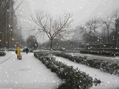 梦见地上有雪但没下雪：梦见雪景