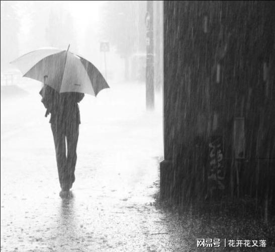 梦见自己在大雨中淋雨：梦见自己打着破伞在雨中淋雨