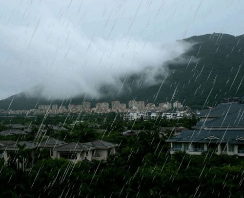 梦见自己在大雨中淋雨：梦见下雨