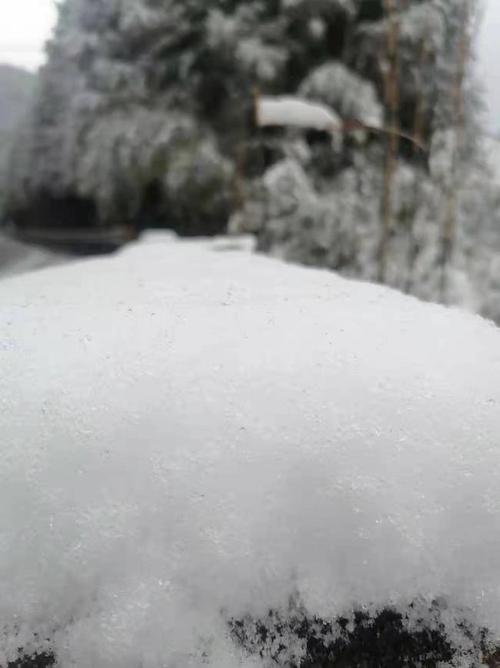 梦见下雪了白茫茫一片：梦到下雪地上白白的一层