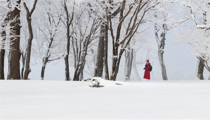 梦见下雪暗喻将要戴孝：梦见下雪戴孝挺准的 有何寓意