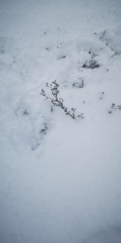 梦到地上有雪但不下雪：梦到好大的雪铺满了路但是没有看到下雪