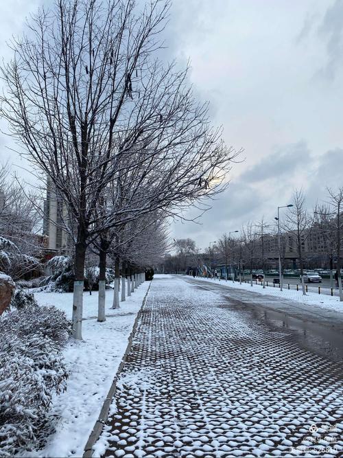 梦到地上有雪但不下雪：梦到地上有雪但不下雪