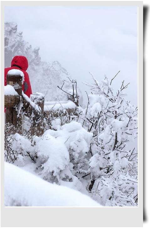 梦到地上有雪但不下雪：梦见地上有雪但没下雪后来又周围都是水即将被淹没