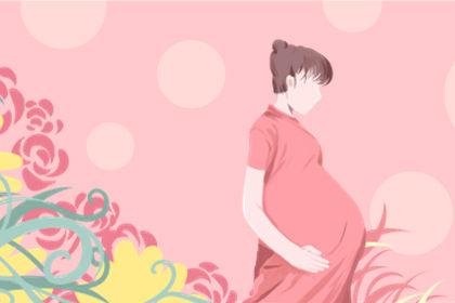 梦见朋友怀孕了预言什么：备孕期梦到别人怀孕了预示什么意思