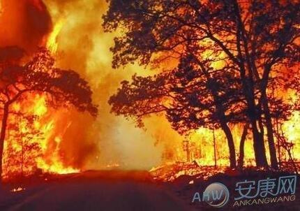 女人梦见火是什么预兆：女人梦见山上着火是什么预兆