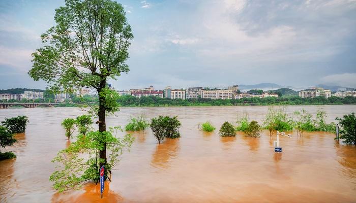 女人梦见发大水了：女人梦见发洪水什么预兆