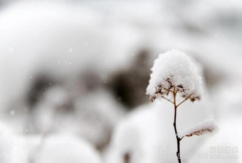 女人梦见下雪是什么征兆：做梦下雪是什么征兆周公解梦