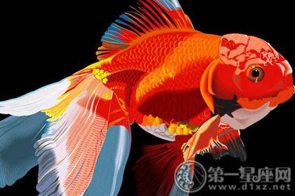 梦见红鱼是什么意思：梦见河里有几条红色的鱼