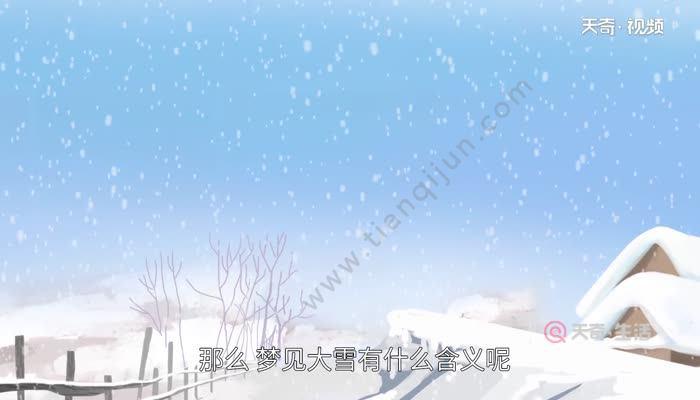 梦见下雪子代表什么：梦到下雪了是什么意思周公解梦