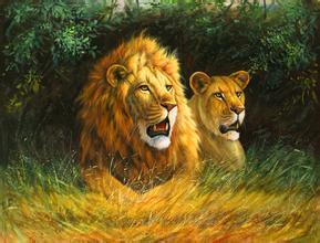 梦见狮子豹子是什么预兆：梦到一个狮子和豹子