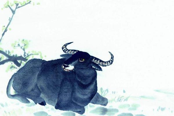 梦见牛是什么意思有什么预兆：梦到牛是什么意思