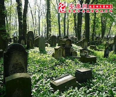 梦见好多坟墓和棺材：经常梦见棺材死人坟是什么意思跑了很远还有那些死人和坟墓这些是什么预兆