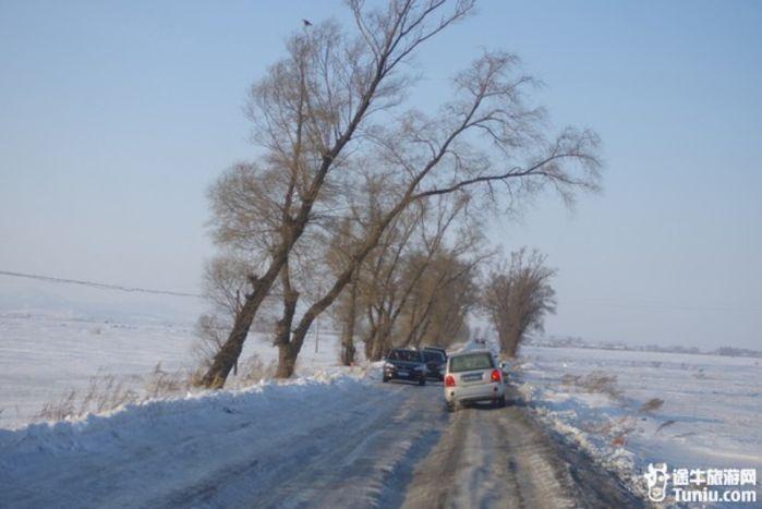 梦见冰天雪地白茫茫一片：我梦见下好大好大的雪白芒芒的一片请大师解梦