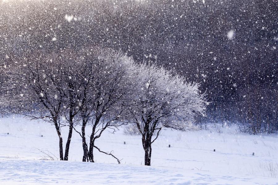 做梦梦见大雪纷飞：大年三十梦见大雪纷飞