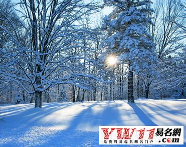 做梦梦见大雪纷飞：晚上睡觉梦到下大雪是什么兆头