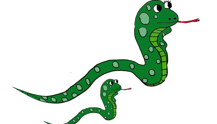孕妇梦到绿蛇是儿是女：梦到蛇生男生女准