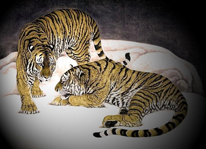 女人梦见老虎会生病是真的吗：女人梦见老虎是什么预兆