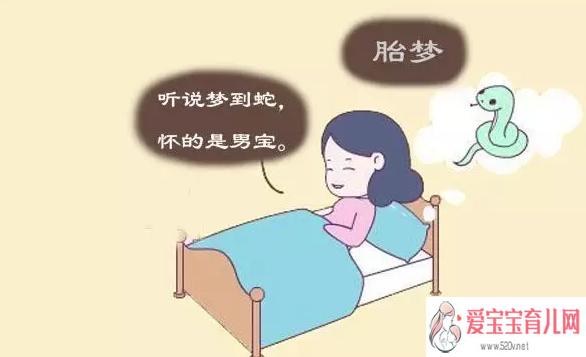 梦见生孩子男孩什么意思梦见很大一根蛇