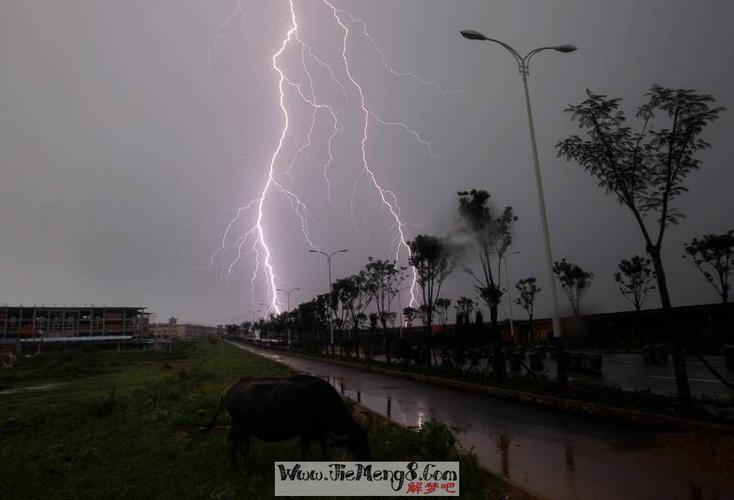 梦见遇到狂风暴雨我去小屋子躲避