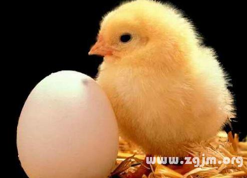 梦见买鸡蛋是什么意思周公解梦