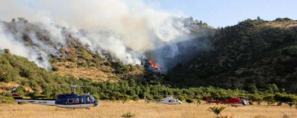 梦见大火烧山是什么意思,梦见山火烧的很旺是什么意思图4