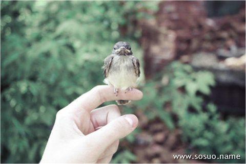 梦到死去的爸爸还活着