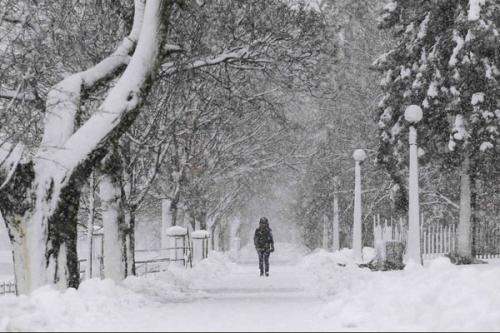 梦见下雪了白茫茫一片什么预兆,女人梦见白茫茫的雪景一点也不冷图3