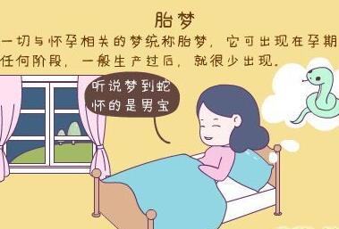 什么梦是胎梦