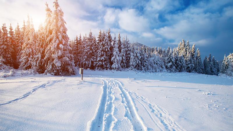 梦见冰天雪地的场景