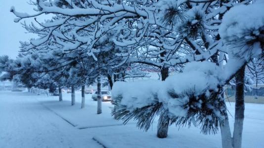 女人梦见下雪好不好,已婚女人梦见下大雪是什么预兆周公解梦图5