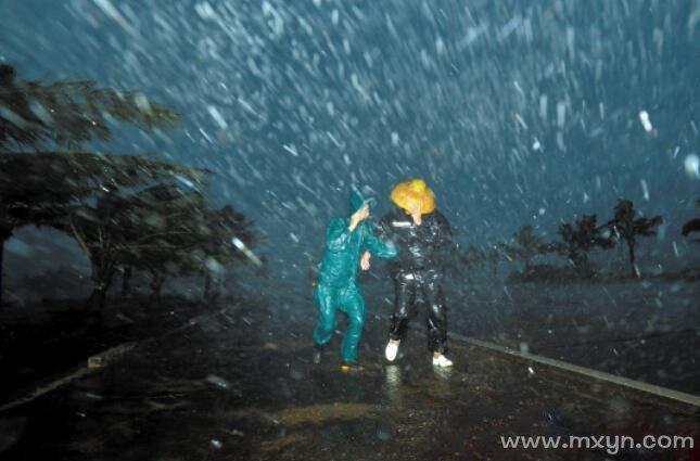 梦见下大暴雨发大水是什么意思而且冰很清