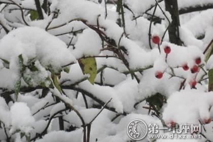 已婚女人做梦梦到下雪下冰雹