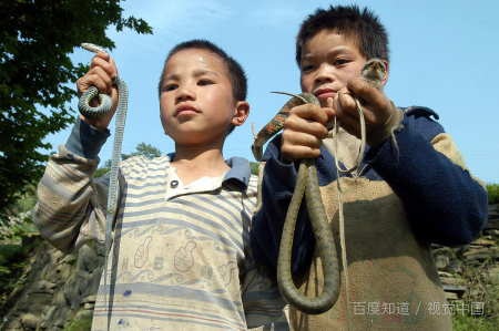 解梦蛇爬在自己身上,梦见好多小蛇爬到自己身上还被咬了图3