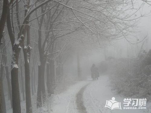 做梦下雪是什么征兆周公解梦河南省原阳烩面