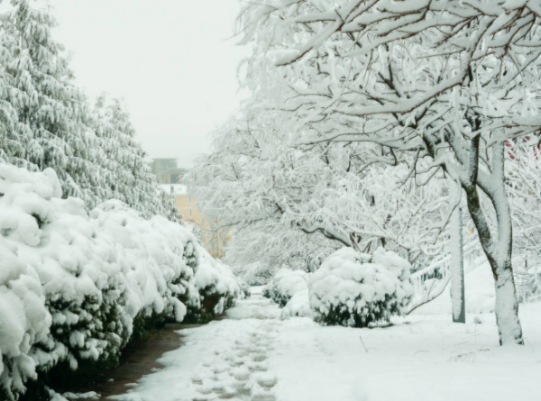 梦见地上有雪是什么征兆,已婚女人梦见地上有雪图1