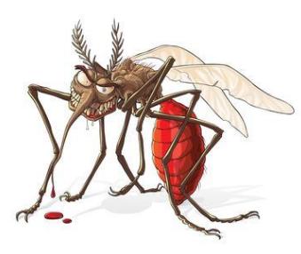 梦见蚊子是什么预兆