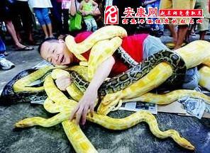 女人梦见蛇缠身被吓醒是什么预兆