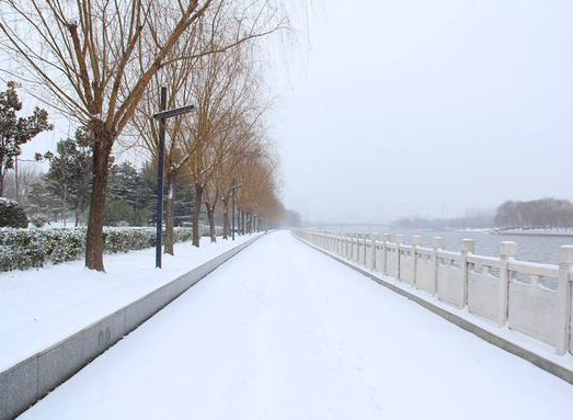 老人说梦见下雪会死人,老人说梦见下雪要倒霉图1