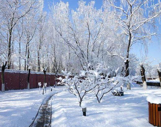 老人说梦见下雪会死人,老人说梦见下雪要倒霉图2