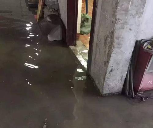 梦见大雨倾盆家里到处是水