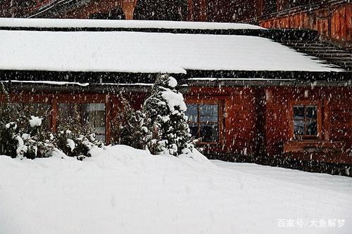 梦见下雪到处都结冰了