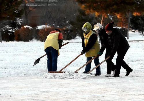 梦见下雪自己铲雪