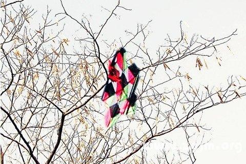 梦见别人放风筝断了线
